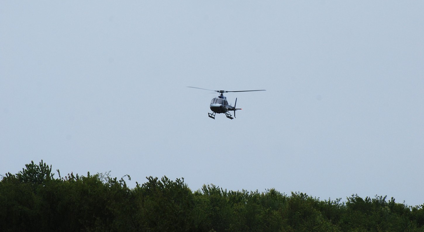 dsc_1800fx.jpg