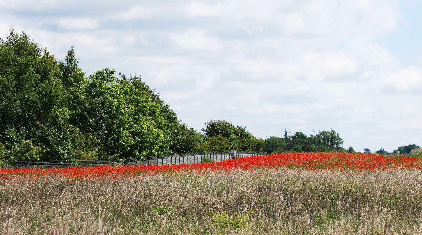 dsc_1896fx.jpg