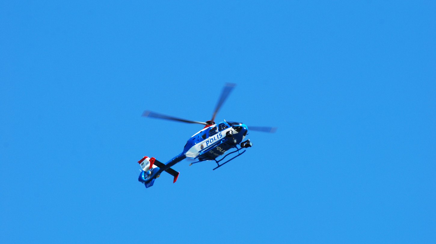 dsc_2091fx.jpg