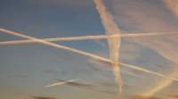 dsc_2178fx_small.jpg