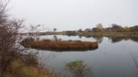 dsc00127fx_small.jpg