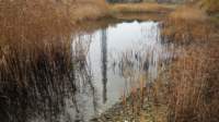 dsc00136fx_small.jpg