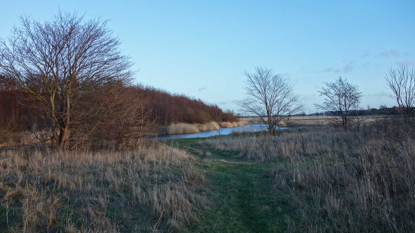 dsc00314fx.jpg