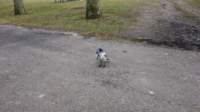 dsc00519fx_small.jpg