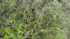 dsc00620fx_small.jpg