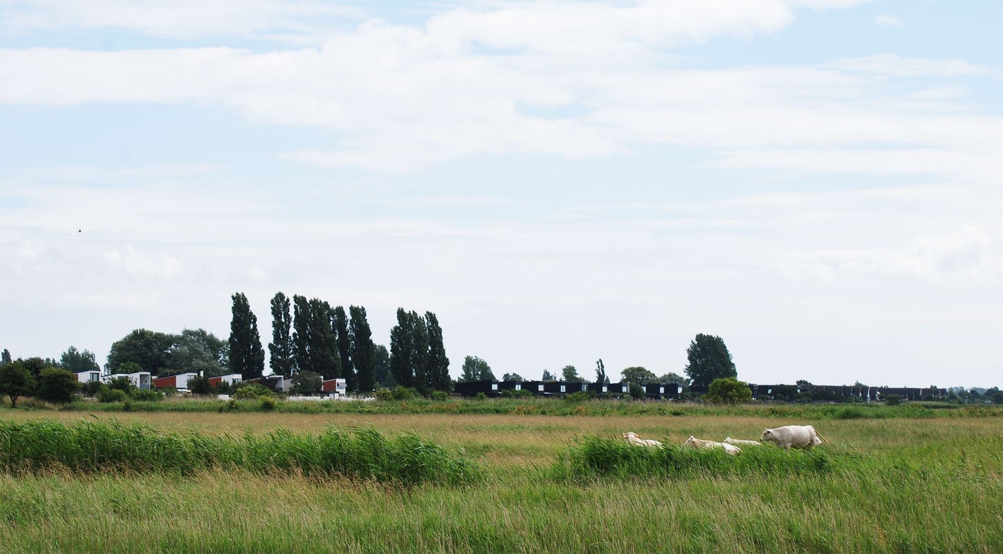 dsc_2641fx.jpg