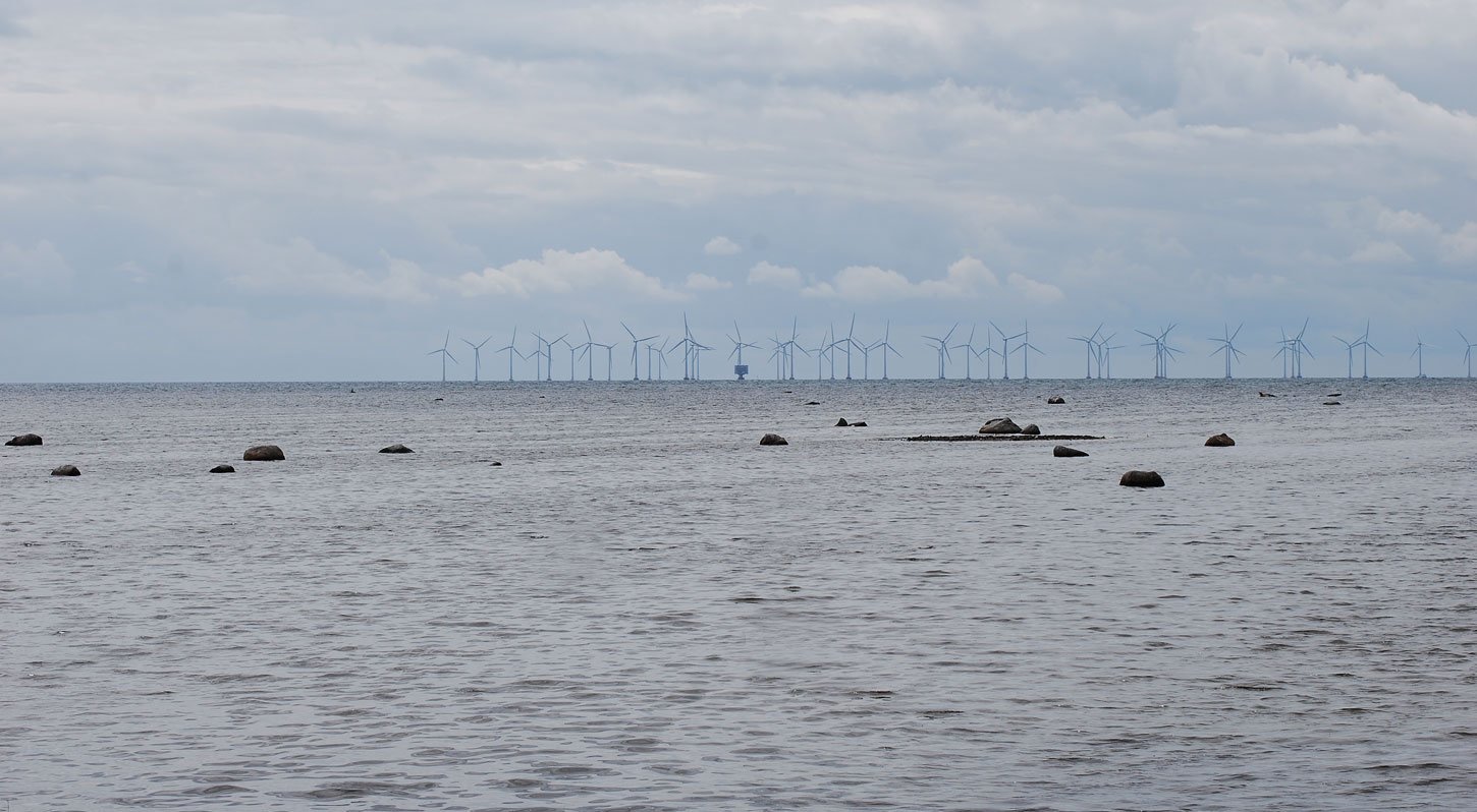 dsc_2642fx.jpg