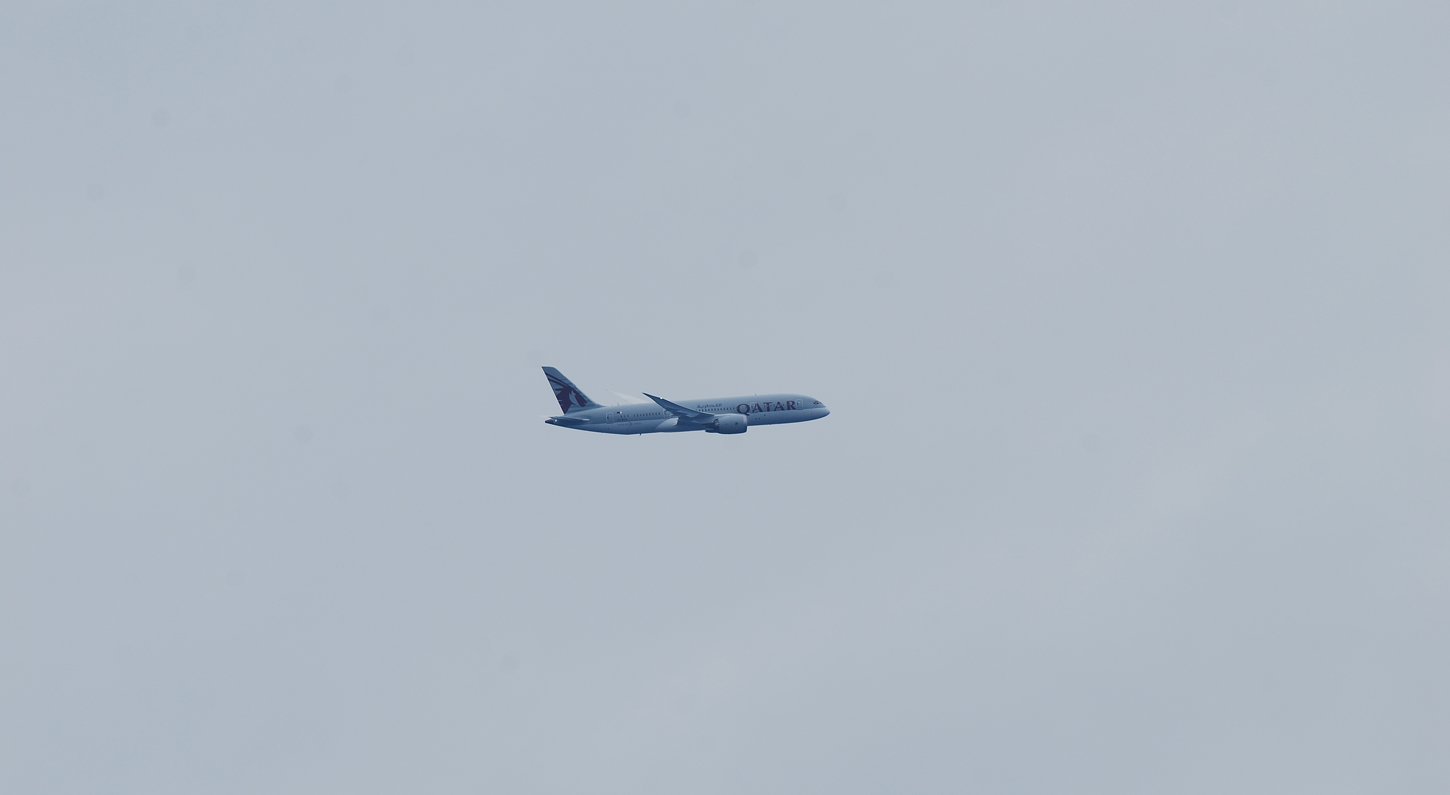 dsc_2691fx.jpg