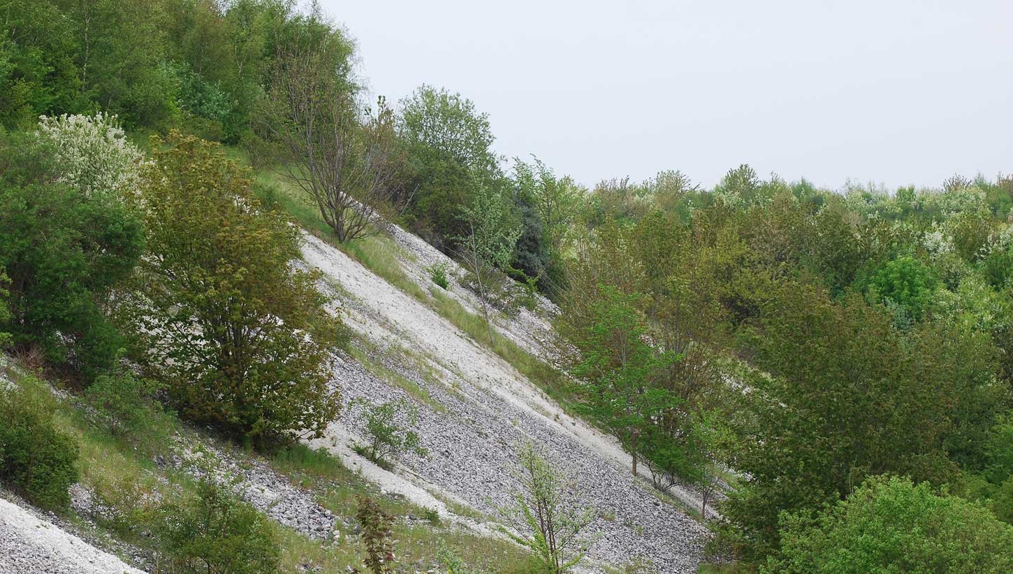 dsc_3369fx.jpg