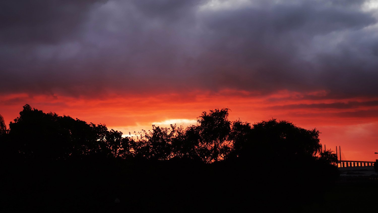 dsc01666fx.jpg
