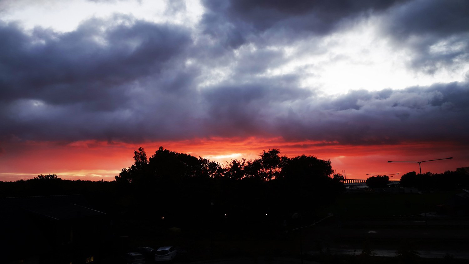 dsc01667fx.jpg