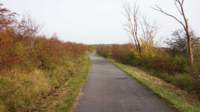 dsc01720fx_small.jpg