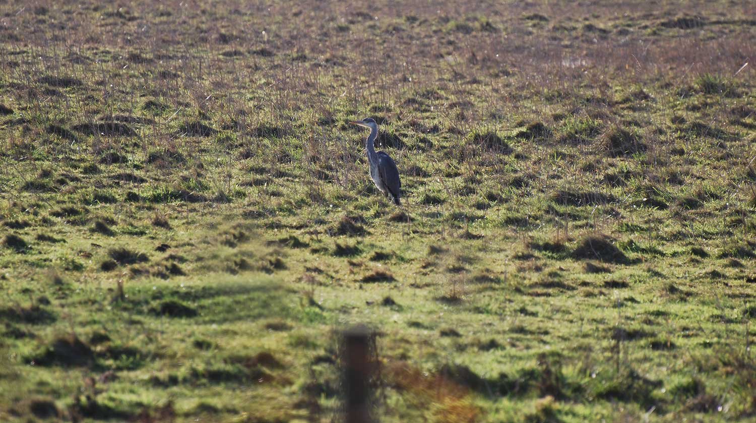 dsc_3757fx.jpg