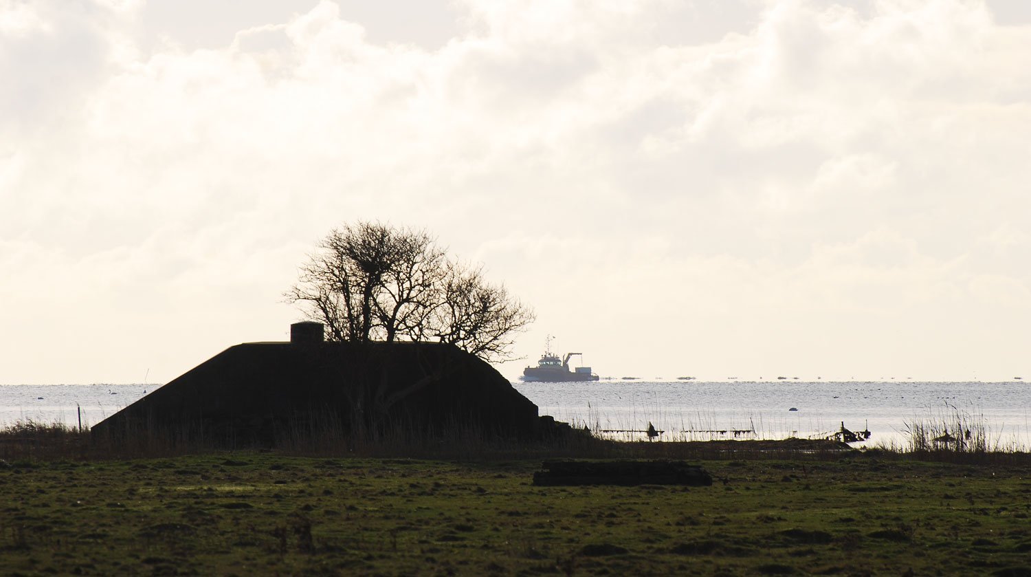 dsc_3764fx.jpg
