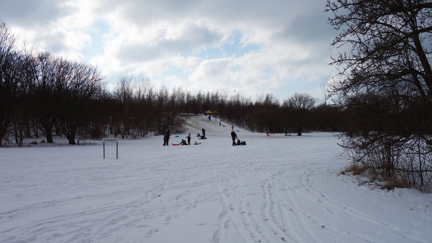 dsc01812fx.jpg