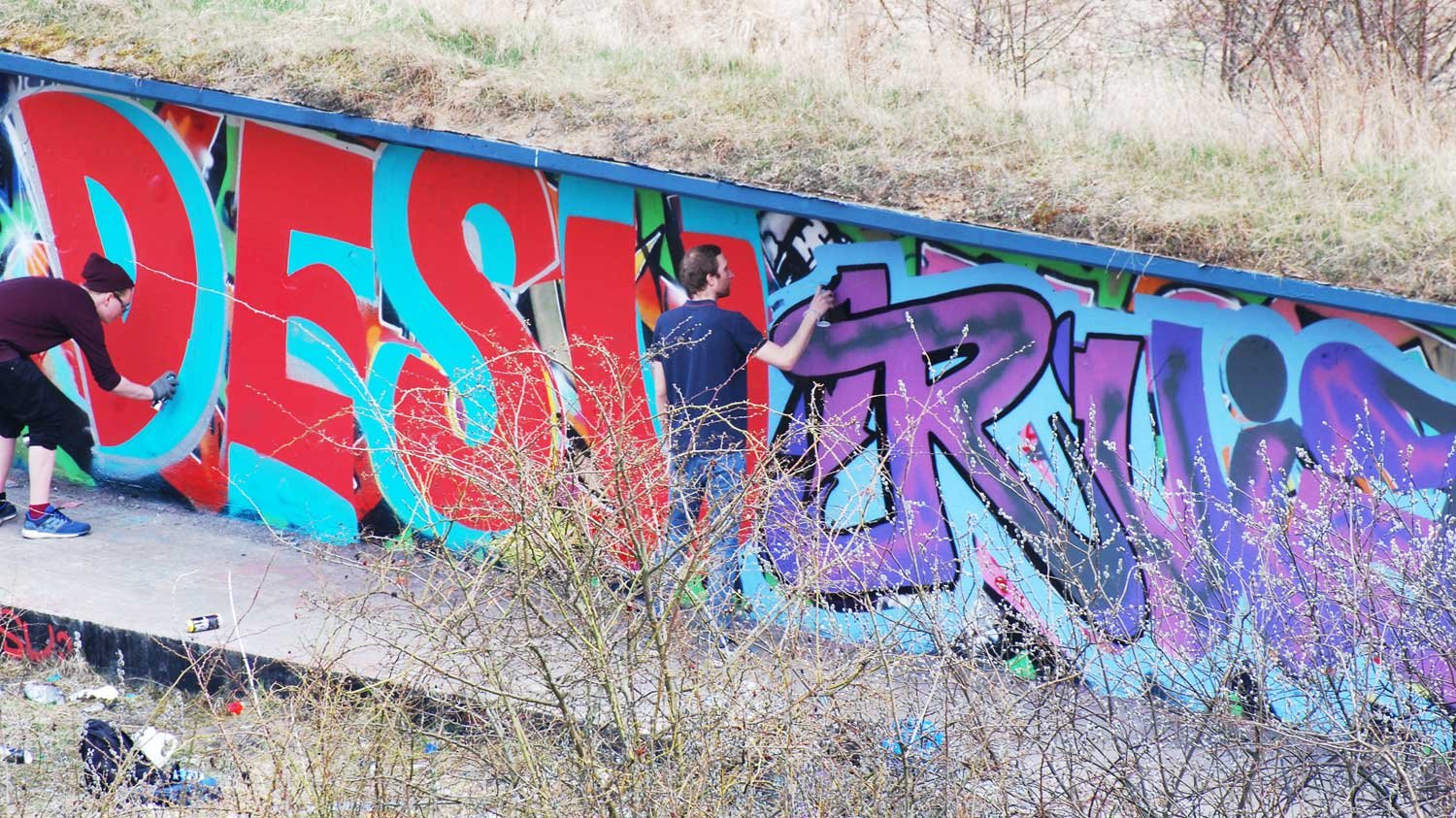 dsc_4003fx.jpg