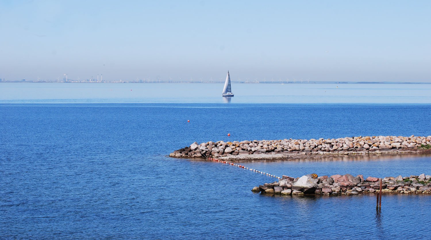 dsc_4041fx.jpg