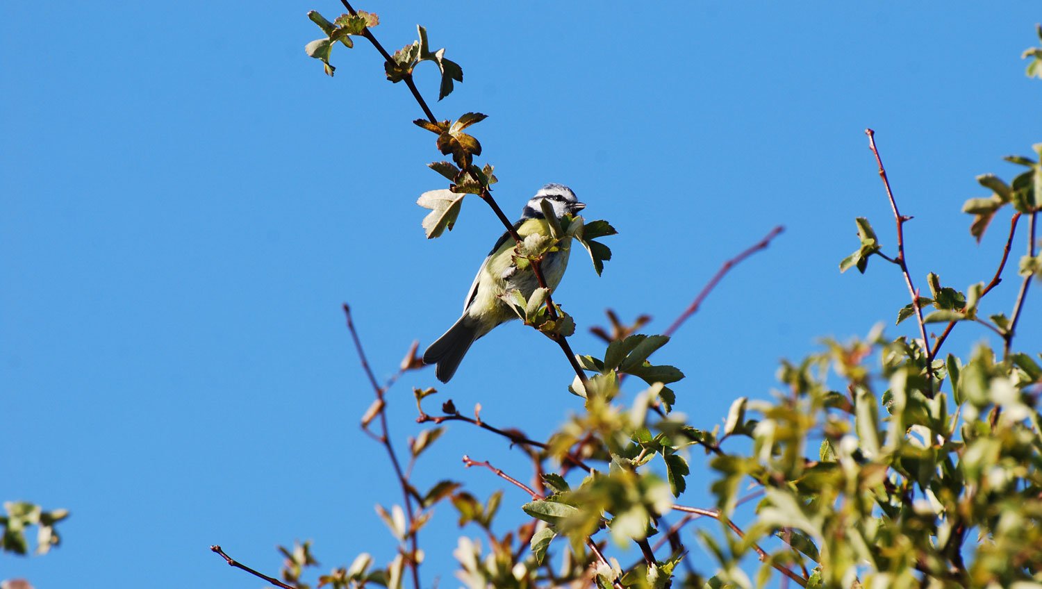 dsc_4261fx.jpg
