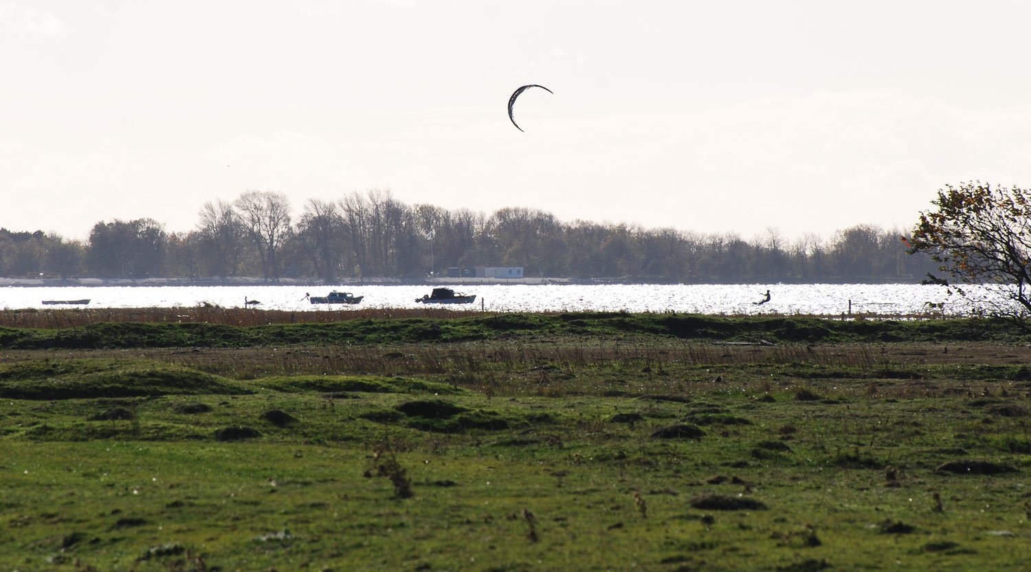dsc_4372fx.jpg