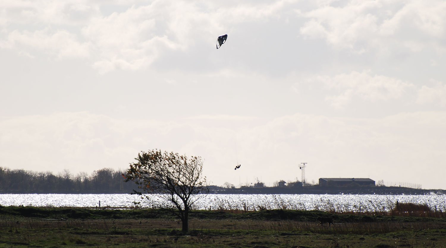 dsc_4378fx.jpg