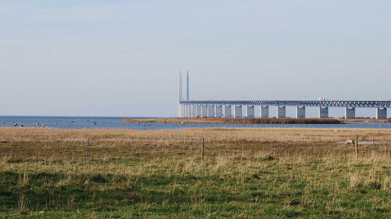 dsc_4408fx.jpg