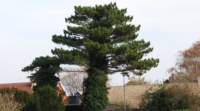 dsc_4412fx_small.jpg