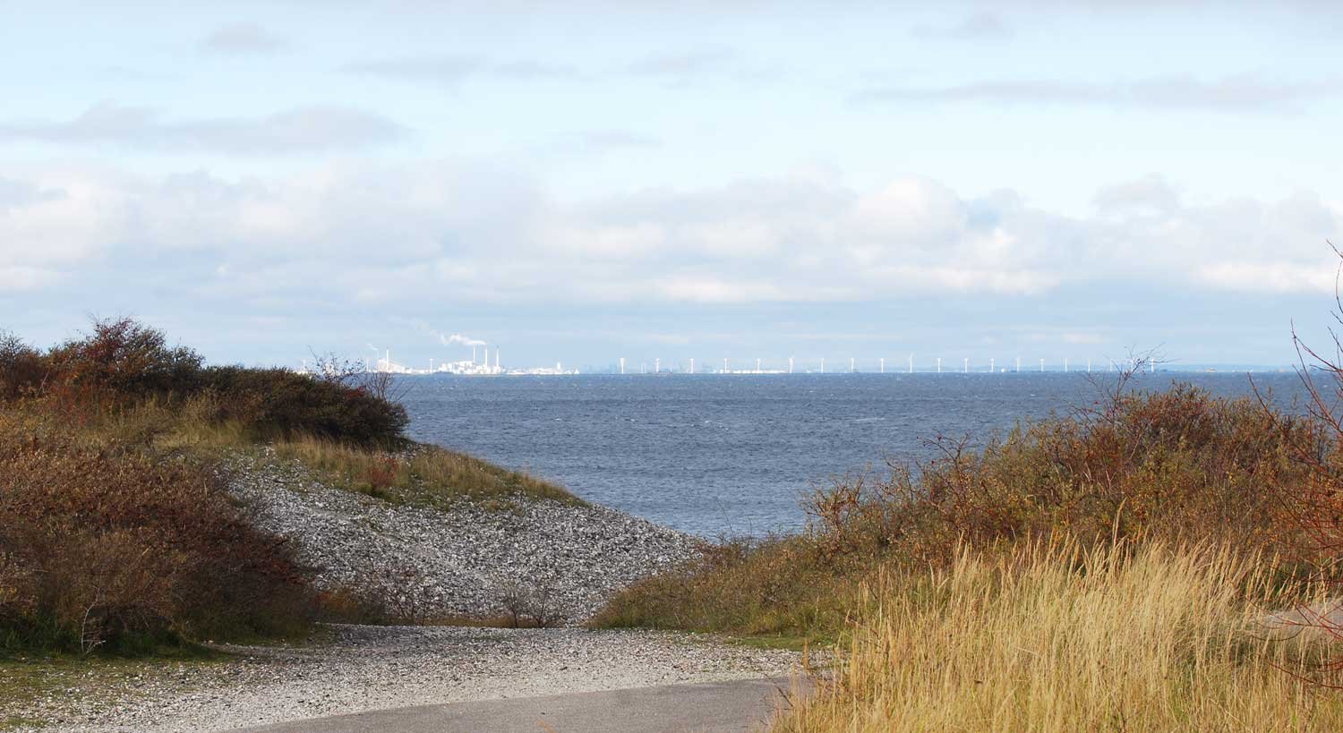 dsc_4420fx.jpg