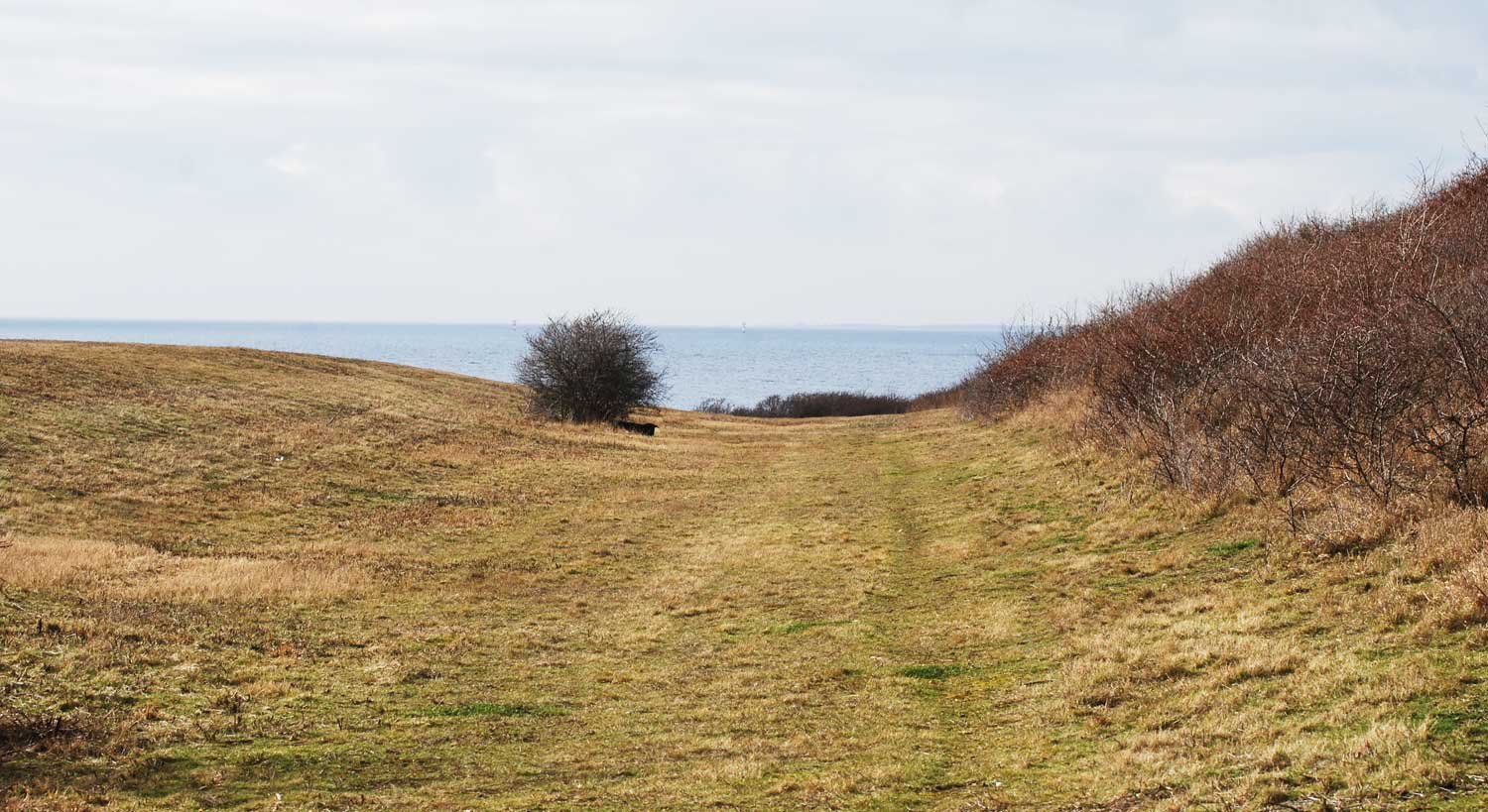 dsc_4620fx.jpg