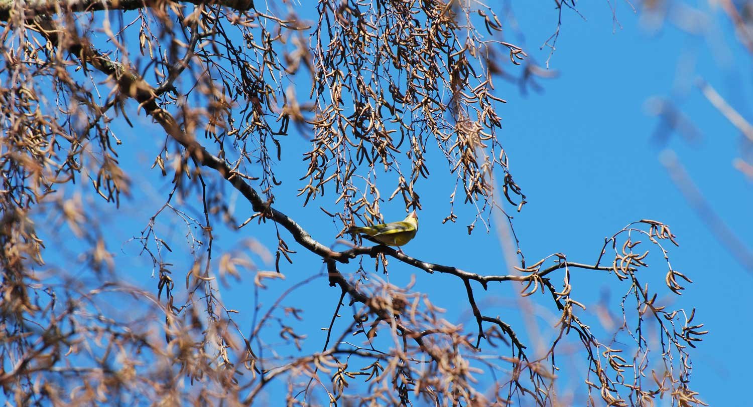dsc_4778fx.jpg