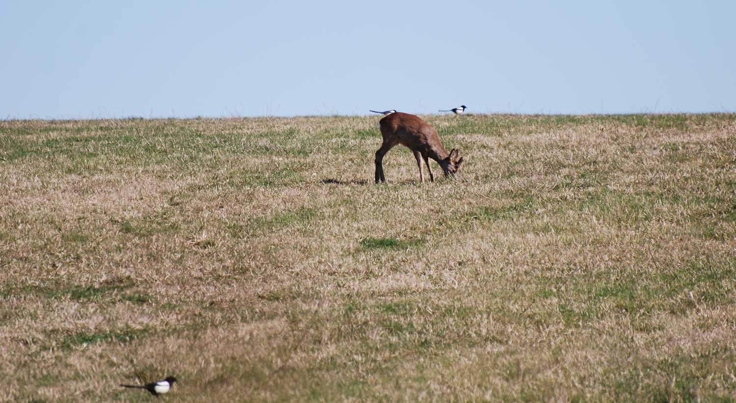 dsc_4814fx.jpg