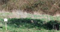 dsc_4829fx_small.jpg