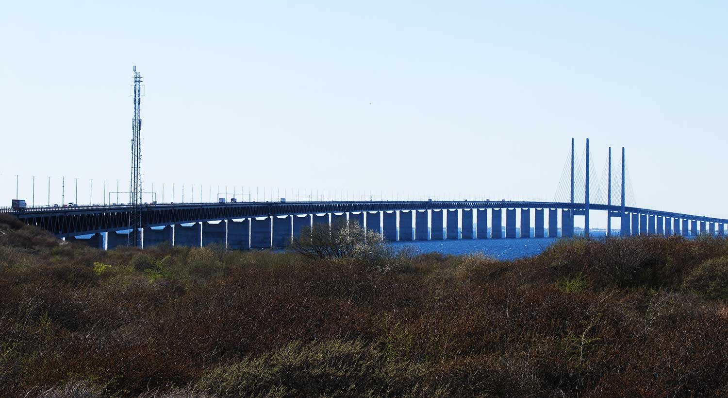 dsc_4845fx.jpg