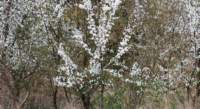 dsc_4868fx_small.jpg
