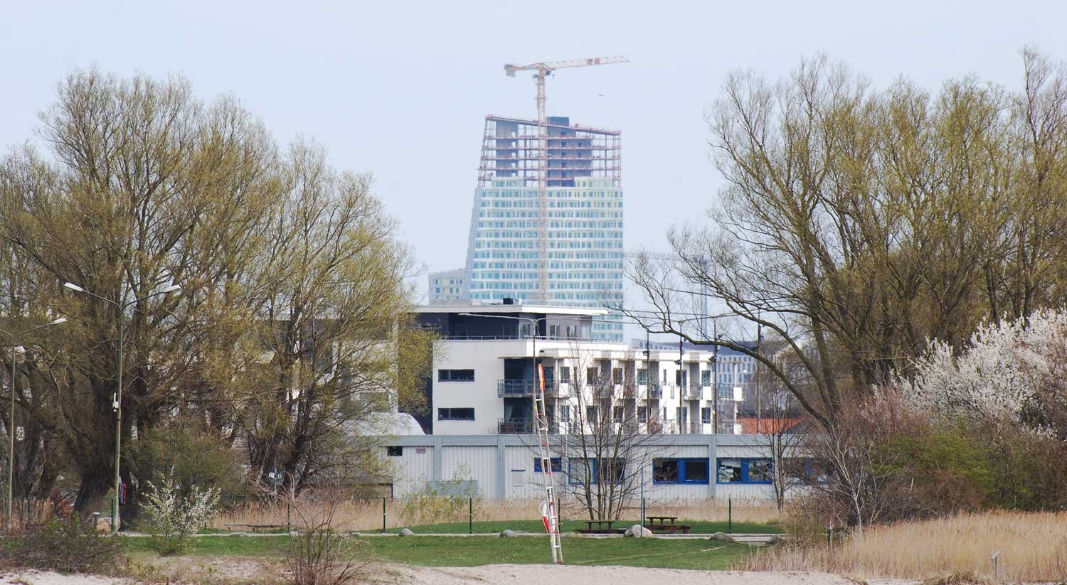 dsc_4883fx.jpg