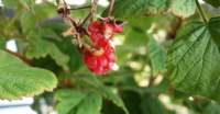 dsc02340fx_small.jpg