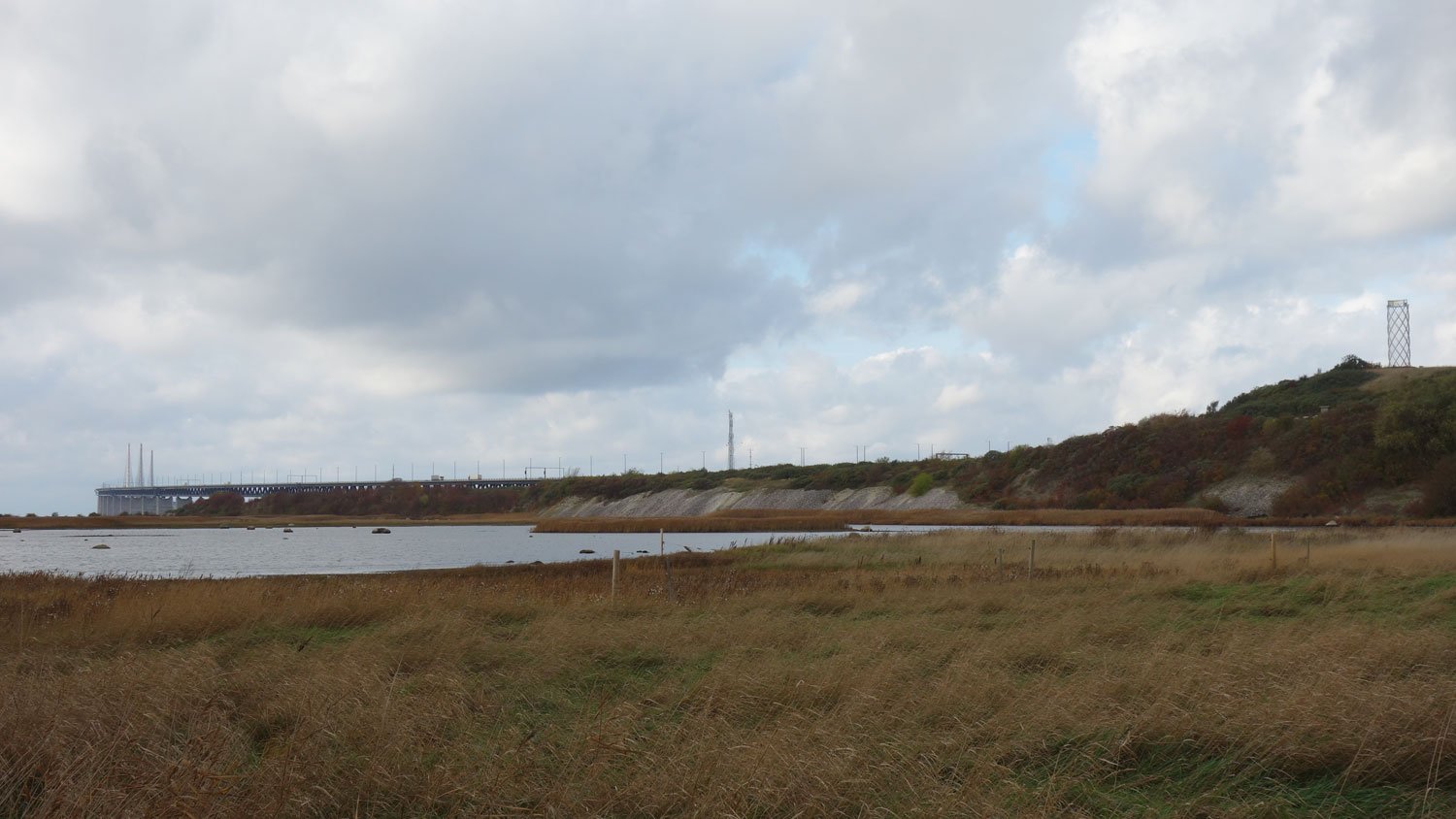 dsc02549fx.jpg