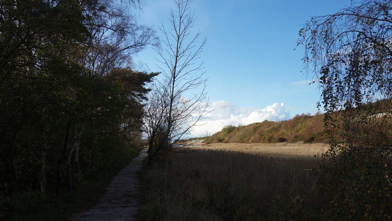 dsc02553fx.jpg