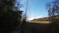 dsc02553fx_small.jpg