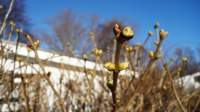 dsc02676fx_small.jpg