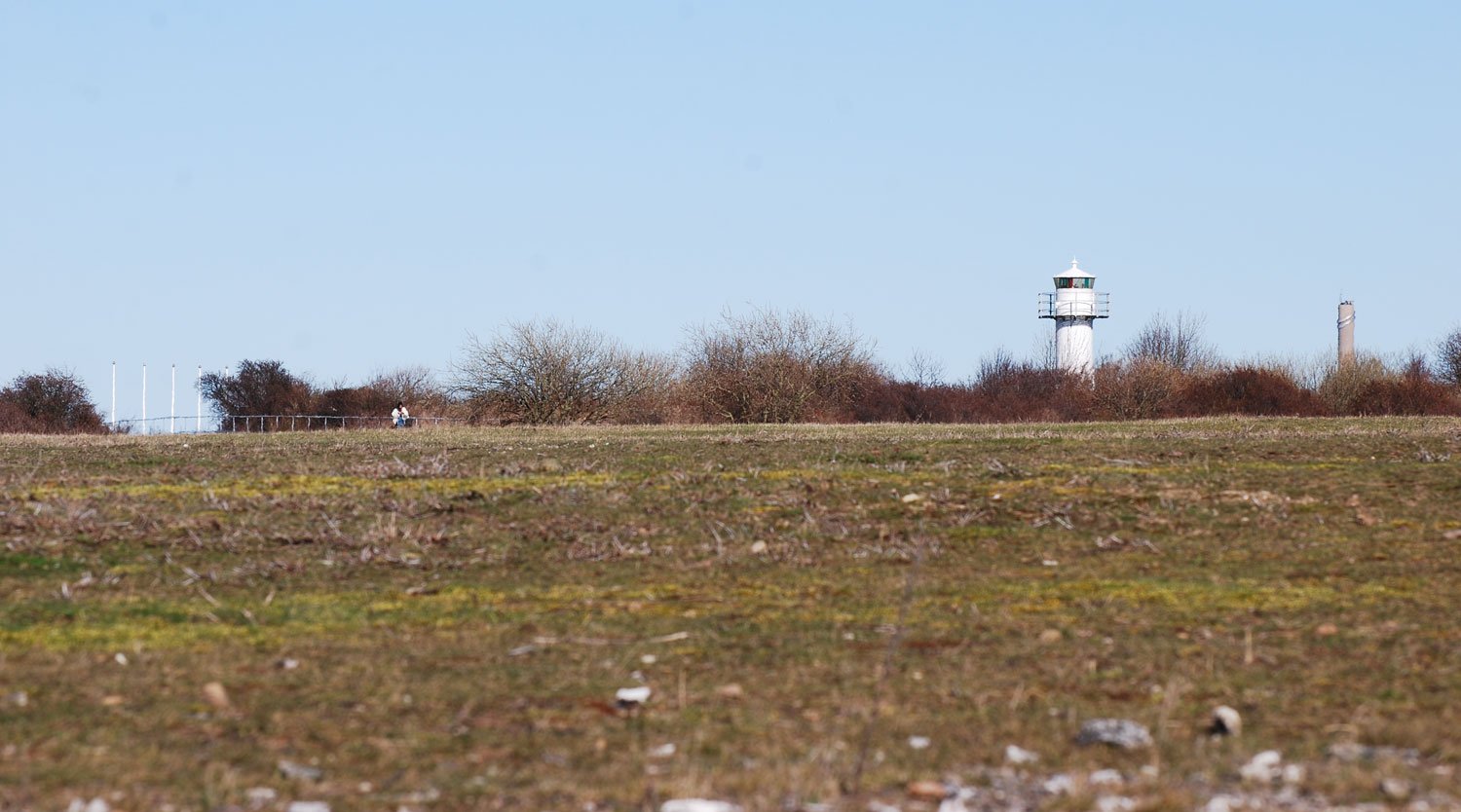dsc_5423fx.jpg