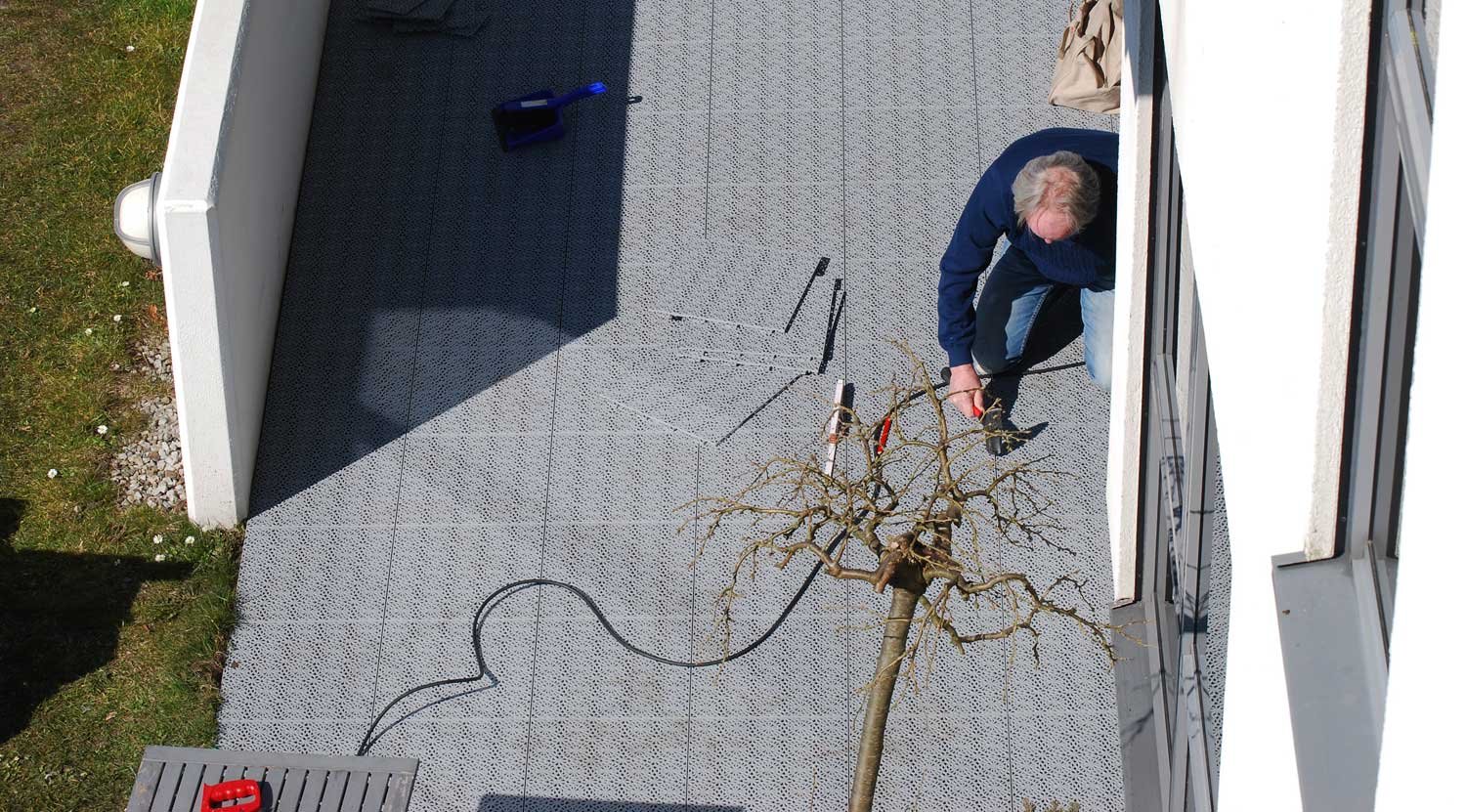 dsc_5501fx.jpg
