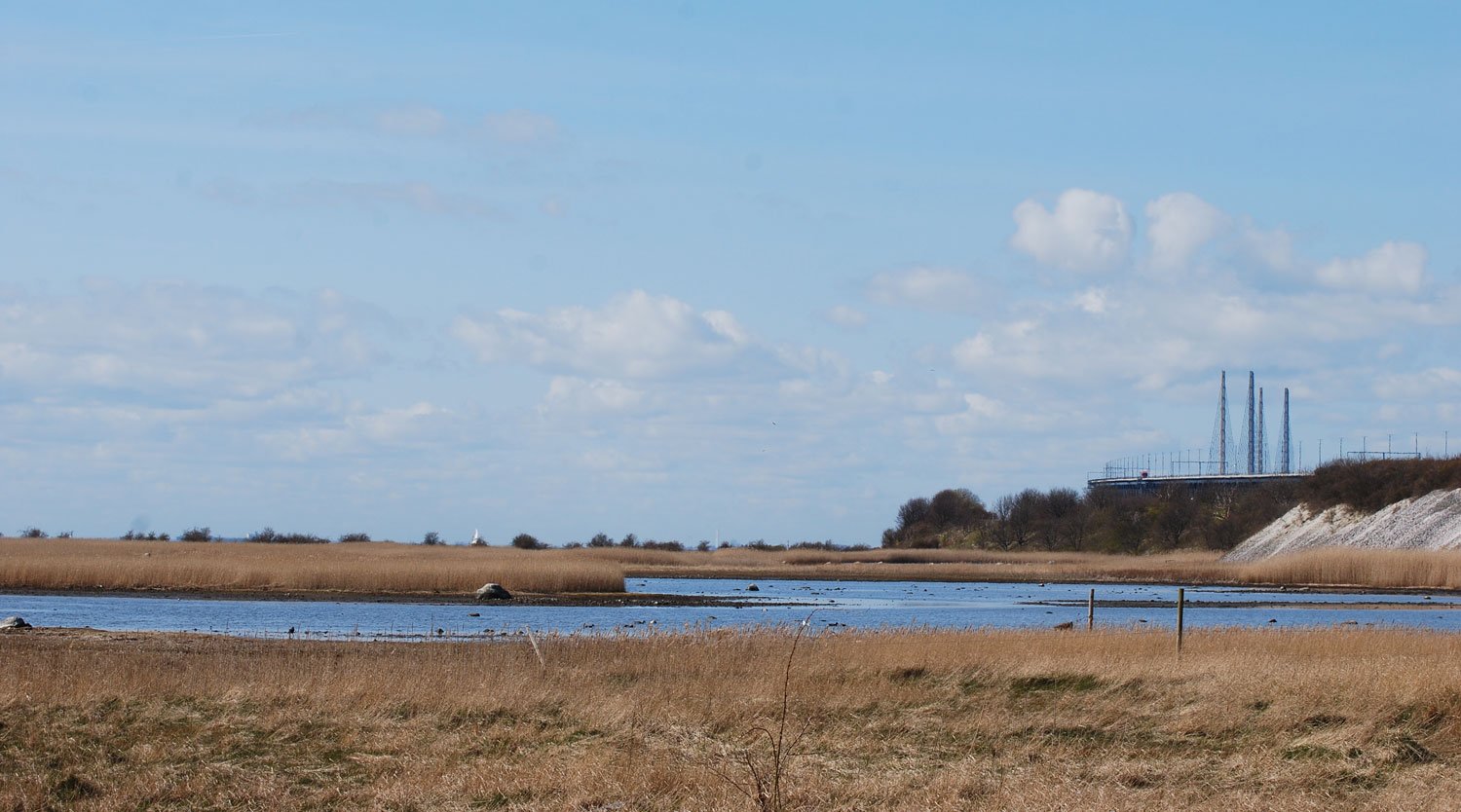 dsc_5518fx.jpg