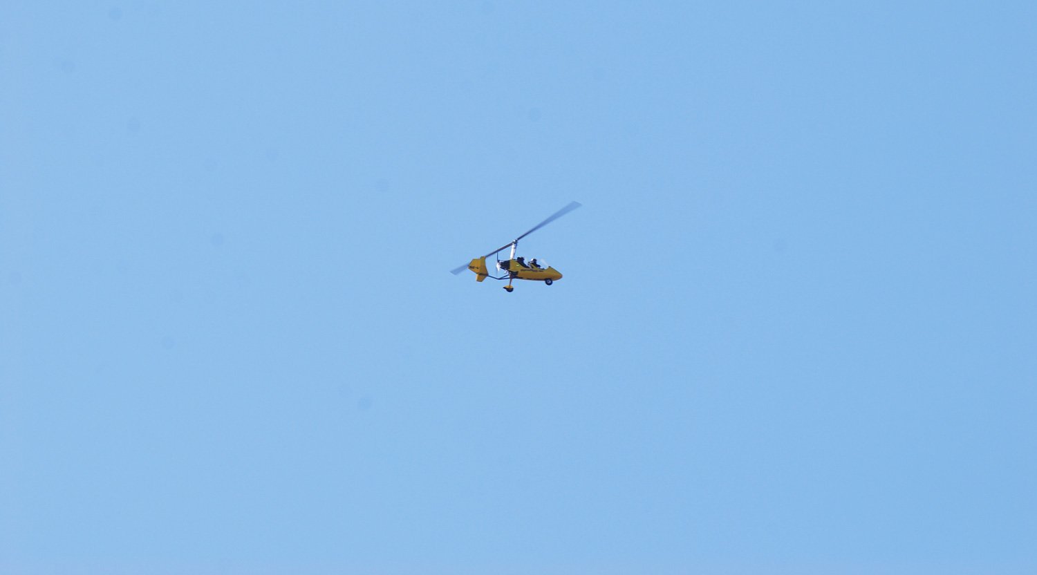 dsc_5526fx.jpg