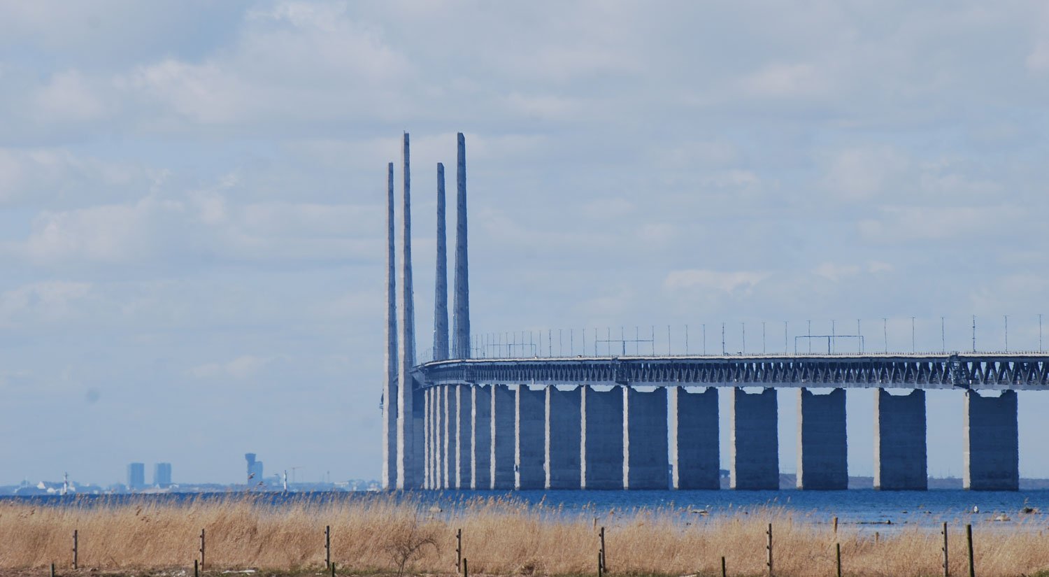 dsc_5531fx.jpg