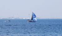 dsc_5591fx_small.jpg