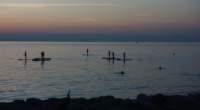 dsc02857fx_small.jpg