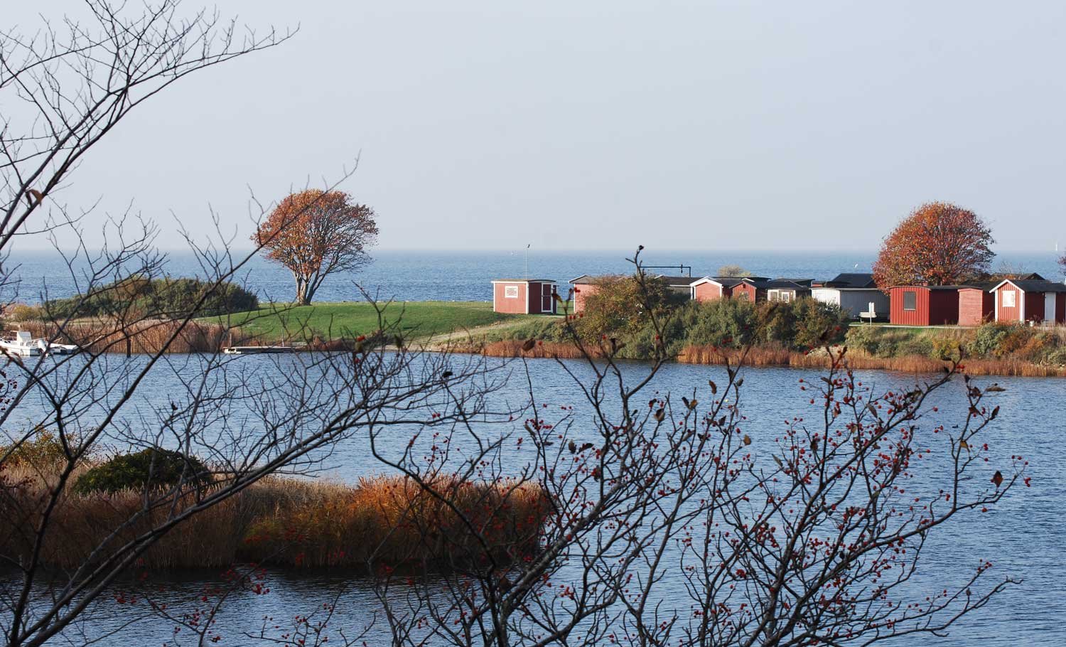 dsc_5831fx.jpg