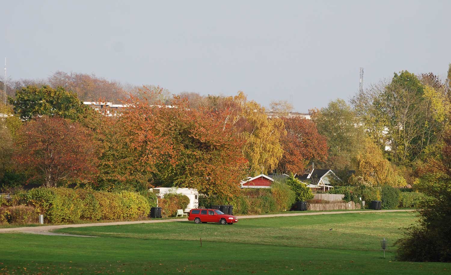 dsc_5849fx.jpg