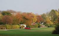 dsc_5849fx_small.jpg