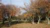 dsc03311fx_small.jpg
